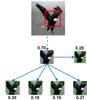Fig. 2. MIRCs discovery. If an image patch was recognized by human sub- sub-jects, five descendants were presented to additional observers: Four were obtained by cropping 20% of the image (Bottom Row) and one by 20%  re-duced resolution (Middle Row, Right)