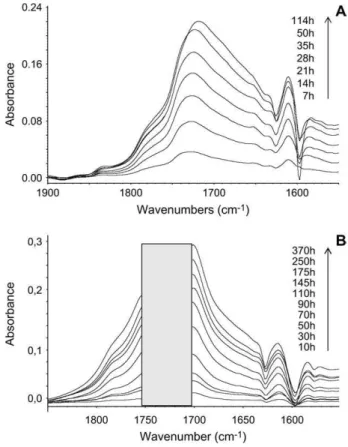 Fig. 3. Changes in the 1900 e 1500 cm ÿ1 region of the IR spectra (subtraction between the irradiated and the non-irradiated sample) of PVK (A) and COP film (B) caused by photooxidation in the SEPAP 14.24 unit at 30  C.