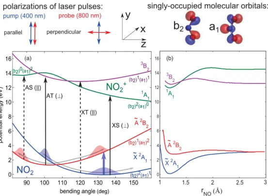 FIG. 1. (Color online) Potential energy surfaces and dominant electronic configurations of the electronic states of NO 2 and NO + 2 relevant for this study as a function of the bending angle ((a), this work) or one N-O bond length ((b), from Ref