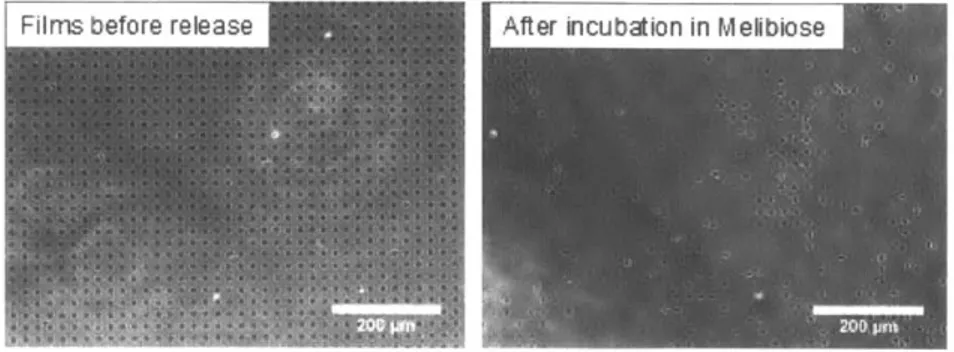 Figure  4-8:  Release  test  with backpacks  built using another  BSM  provider (Calbiochem).