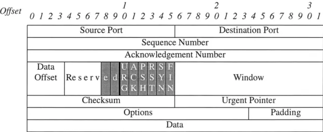 Table 3.1:  Parts of TCP Header used  by  QueSO
