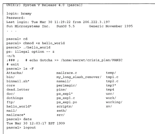 Figure 4.3:  Transcript from  a ps attack