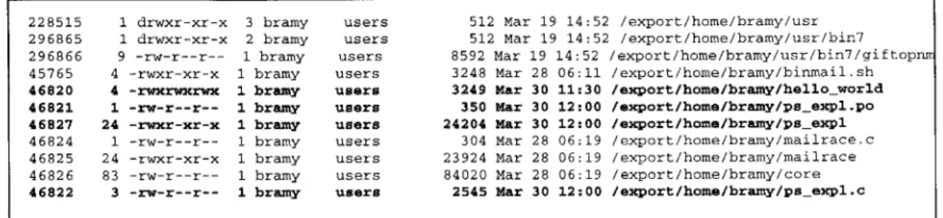 Figure 4.4:  File  Listing Indicating the Presence  of a  ps Attack