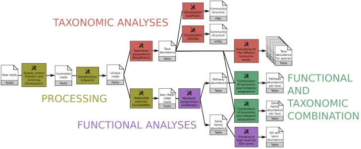 Figure 1: Main ASaiM workflow to analyze raw sequences. This workflow takes as input a dataset of raw shotgun sequences (in FastQ format) from microbiota, preprocess it (yellow boxes), extracts taxonomic (red boxes) and functional (purple boxes) assignatio