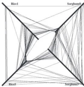 Fig. 3. The incompatibility graph associated with the sub-matrix from Figure 1 (Right)