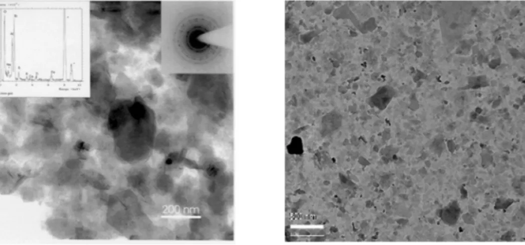 Figure 1. Typical transmission electron microscopy micrographs of ultrafines separated from Athabasca oil sands.
