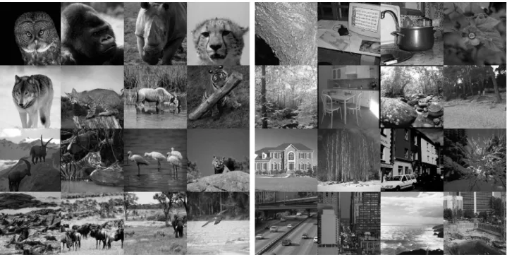 Figure 4: The animals vs. non-animals dataset used in [Serre et al., 2007b].The images in the dataset are divided into four categories with the depth of view and the amount of clutter increasing along the rows
