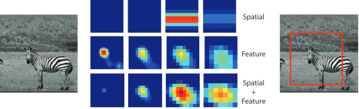 Figure 5: Examples illustrating attentive processing on real-world natural images.