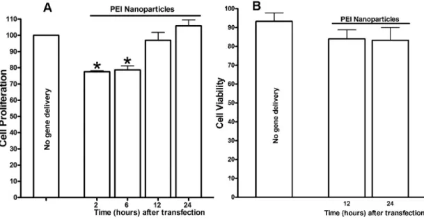 Figure 6. TUNEL assay performed 24 h after the PEI-DNA nanoparticles treatment showed that tested nanoparticles do not cause HCF  death