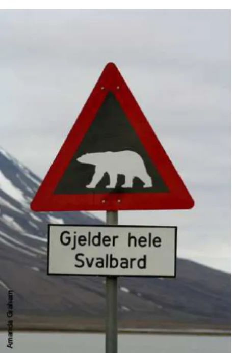 Figure 12: Road sign on Svalbard Island 