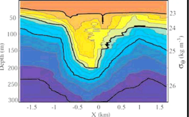 Fig 7. Internal waves generated by barotropic tide (Ko et al, 2008) in the South China Sea  have amplitudes over 200 m (top) and extend over 200 km (bottom left and right)