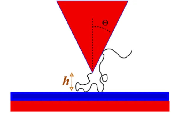 FIG. 2. A polymer (in d = 3) attached to the tip of a repulsive solid cone with apex angle  approaches a plane covered by an attractive (blue) layer
