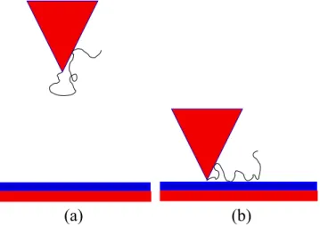 FIG. 3. As the cone or wedge depicted in Fig. 2 approaches the surface, it moves between two extreme geometries: (a) When h  R, we have a scale-free geometry of a polymer attached to the cone or wedge
