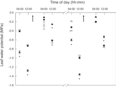 Fig. 2. Time course of leaf water potentials (ψ) of poplars depending on water regime