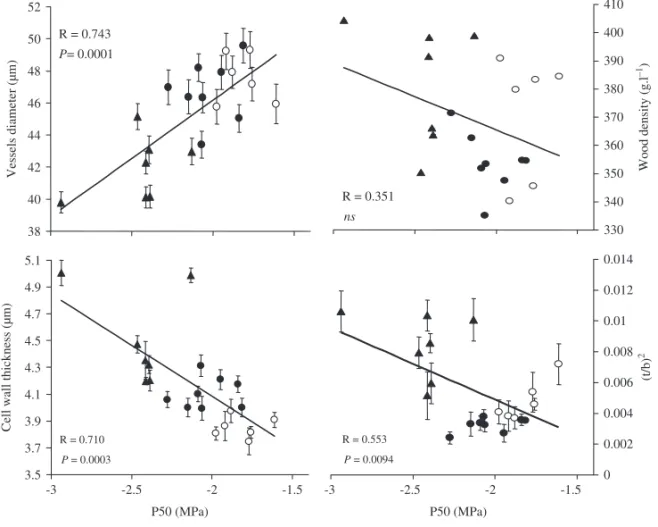 Fig. 4. Correlation between xylem pressure causing 50% loss of conductivity (P 50 ) with vessel diameter (top left), vessel wall thickness (bottom left), wood density (top right) and (t/b) 2 (bottom right)