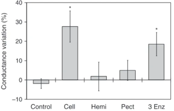 Fig. 3. Effect of hydrolases on xylem conductance. Beech branches were perfused with a control solution, and conductance was scored.