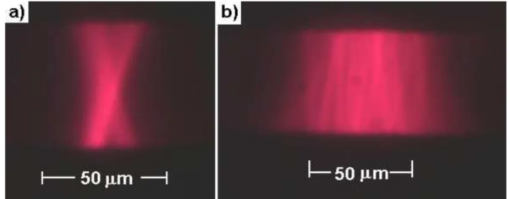 Figure 5. Images of the shaped beam in the channel with (a) 6  μ m beam waist, (b) 25  μ m  beam waist