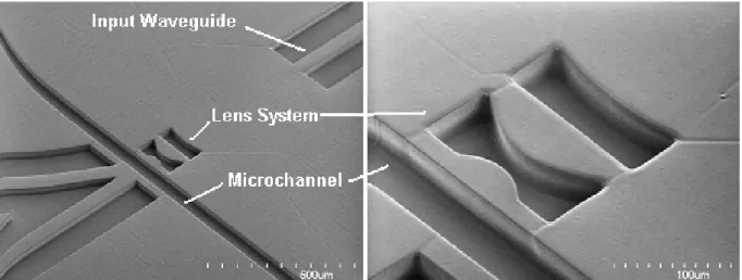 Figure 2. SEM image of the device showing the waveguide core, lens system,   and microchannel
