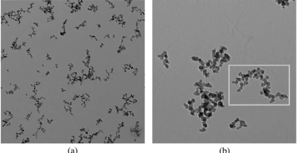 Fig. 1. Examples of TEM images: (a) from data array A, magnification 1 . 62 nm∕pixel and (b) from data array B , magnification 0 