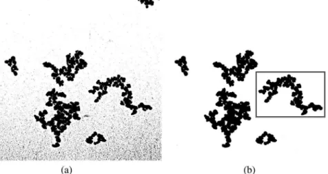Fig. 4. (a) Output of Otsu thresholding. (b) Same after morphological smoothing and removal of border aggregates.