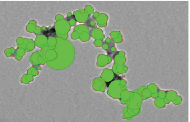 Fig. 8. (Color online) (Color online) Result shown in Fig. 7, after regularization of the Hough transform, overlaid on the original TEM image.