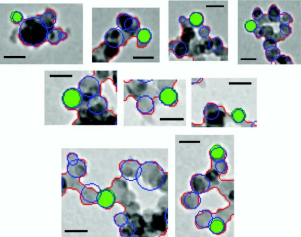Figure 9 presents some typical examples of the re- re-sults of these measurements. Here, the perimeters of the particles identified and measured by the  auto-mated method are shown as blue circles, while those measured by the human observer are shown as fi