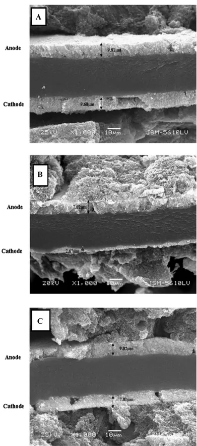 Fig. 9. Cross-sectional SEM images: (A) fresh MEA without startup–shutdown cycles; (B) MEA in open-ended cell after 1500 cycles; (C) MEA in closed cell after 1500 cycles.