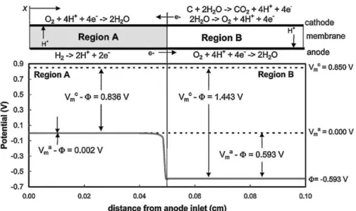 Fig. 3. Potential distribution along anode flow path during reverse-current conditions.