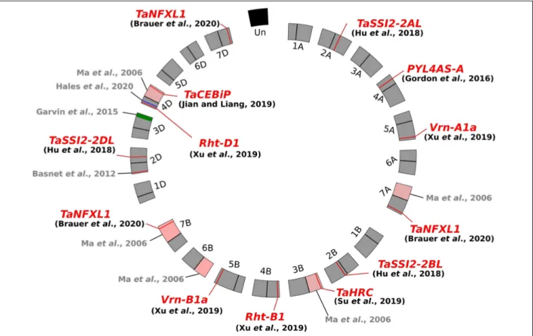 FIGURE 1 | Circos plot of the wheat genome (Triticum aestivum) exemplifying Fusarium head blight susceptibility determinants