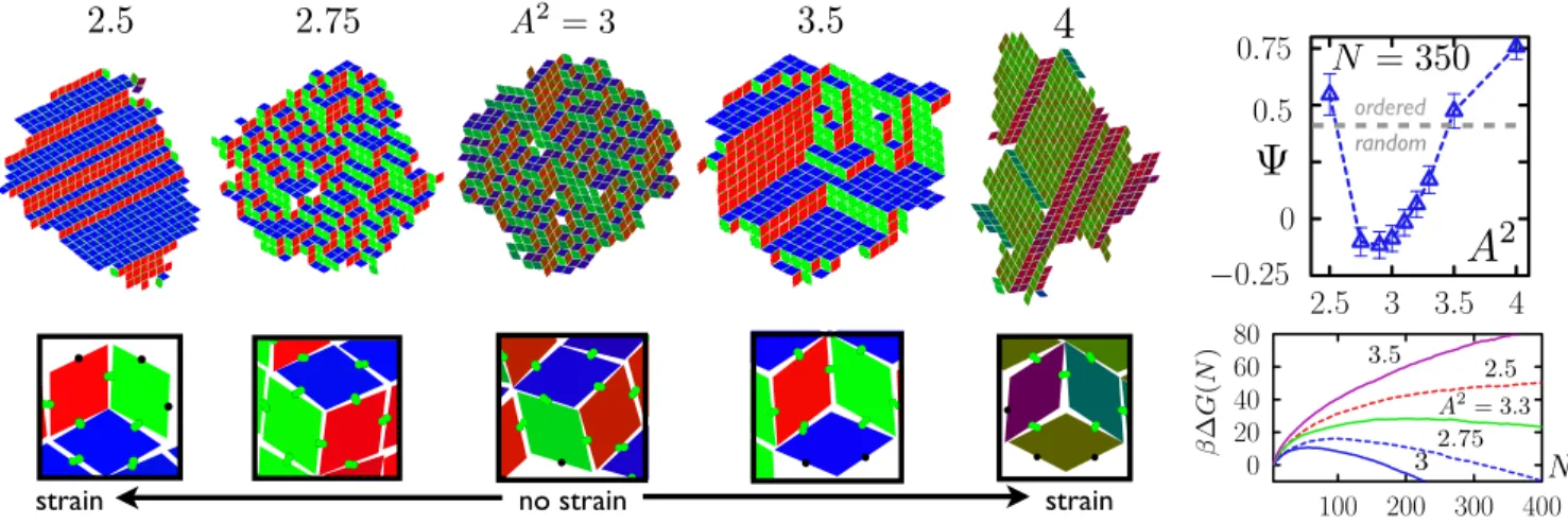 FIG. 2 (color online). Rhombus tiles with attractive H-bond interactions self-assemble into random and ordered solid phases.
