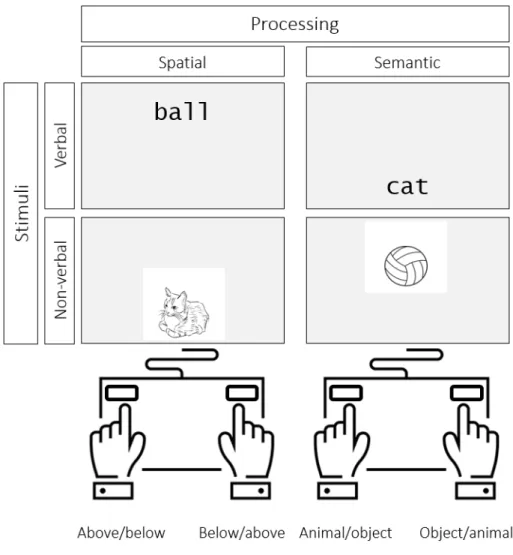 Figure 2 . A matrix illustrating the four versions of the processing task based on the type of stimuli involved and the type of operation required