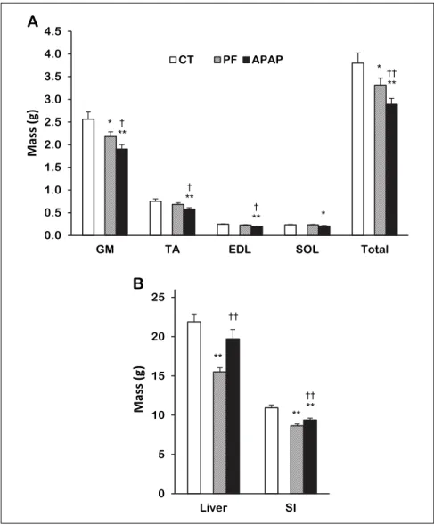 Fig. 1. Skeletal muscle and organ masses in control, pair-fed and  APAP-treated groups