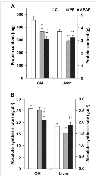 Fig. 3. Glutathione in control, pair-fed and APAP-treated groups.