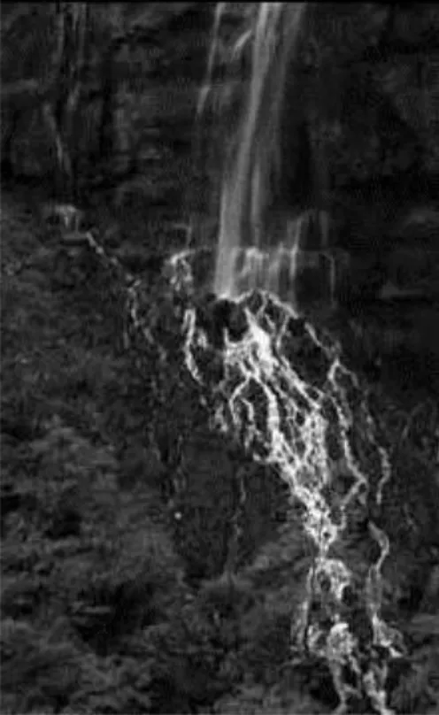 Illustration 1 : Cascade de Moulin Marqui, Parc naturel régional du Vercors.