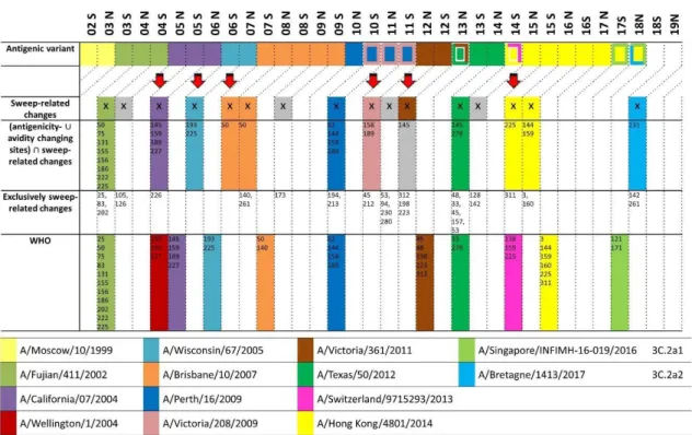 Figure 4. Comparison of predominant antigenic types for human influenza A/H3N2, predictions using sweep dynamics (SD) plots and recommendations made by the World Health Organization (WHO)