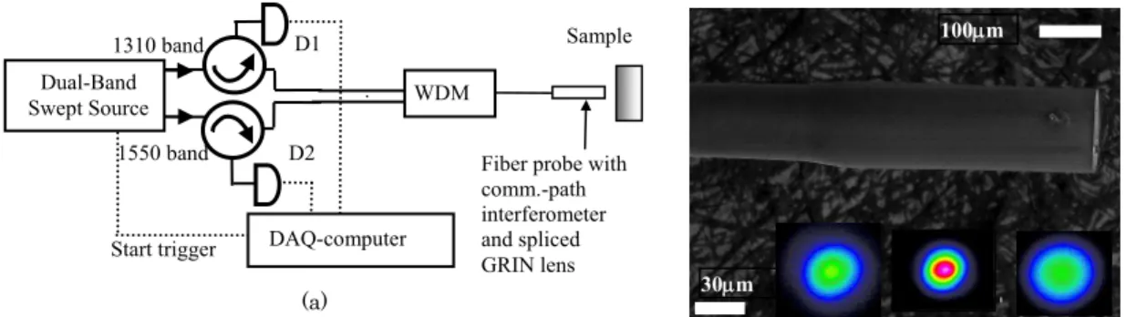 Figure 2 (a). Schematic diagram of our simultaneous dual-band common-path SS-OCT system