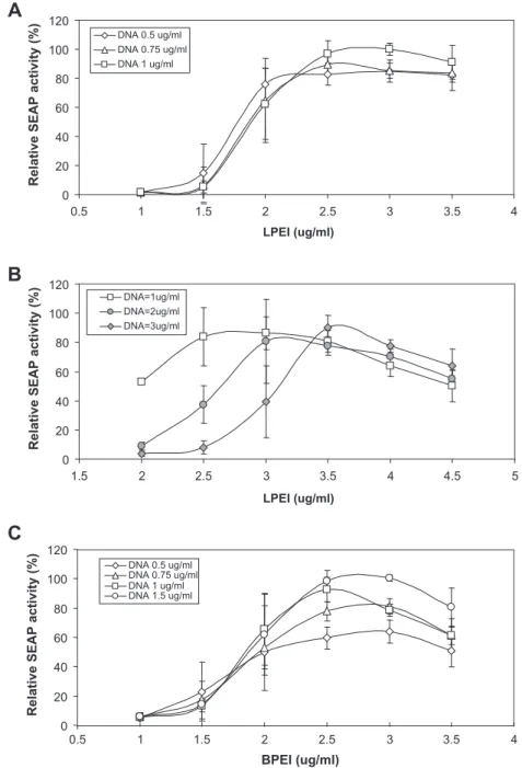 Fig. 1. Effect of DNA and PEI concentrations on SEAP production following direct transfection