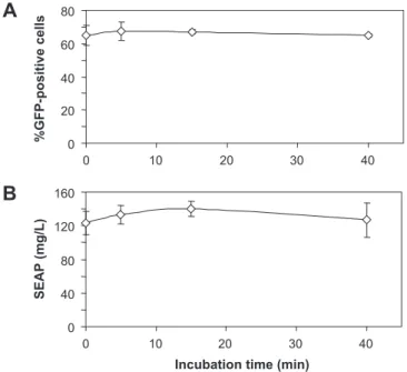 Fig. 2. Impact of cells incubation time with DNA before LPEI addition on transfection efficiency