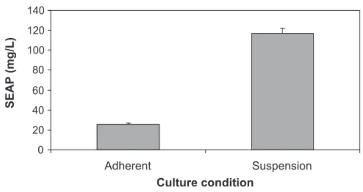 Fig. 6. Transfection of adherent vs suspension cultures. Productivity of adherent vs suspension cells was compared in 6-well plates
