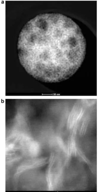 Figure 3. (a) Overview of a typical MoS 2 catalyst particle supported on SiO 2 template at relative low magnification in STEM-HAADF mode; (b) high-resolution STEM-HAADF image of the particle with lattice fringe details of MoS 2 .
