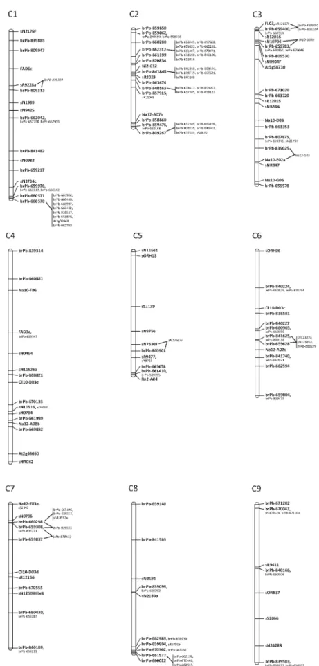 Figure 3. Continued