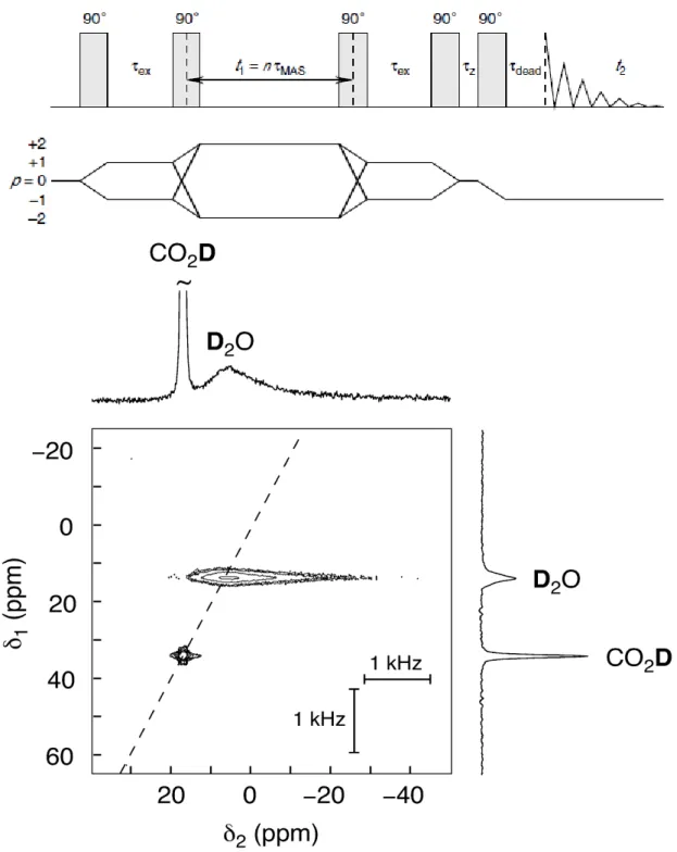 Figure  14.  Two-dimensional  rotor-synchronized  2 H  double-quantum  MAS  NMR.  