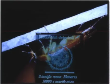 Figure 2.10:  4D  Systems  RGB  capable  transparent OLED used  in our experiments