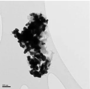 Fig. 5. TEM image of WC-SYN particles.