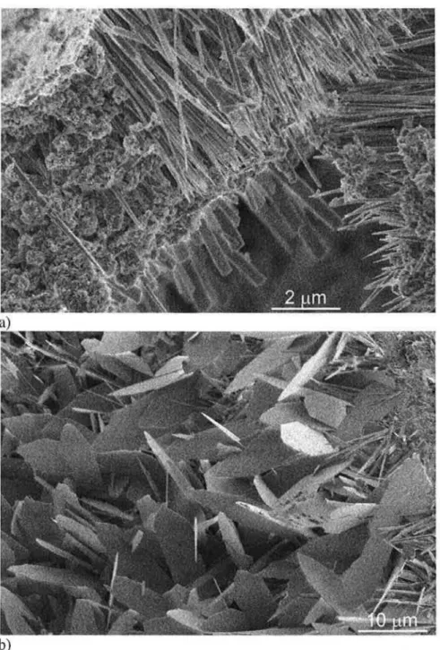 Figure  2  -Morphology  of fracture  surfaces  for  sample  1LT-1HT-2C:  a)  Typical  surface:  blunt  needles and dense calcium silicate hydrates; b) platy hydration products 
