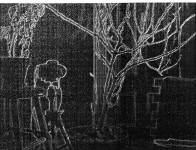 Figure  4-2:  Unigned  edge  detection