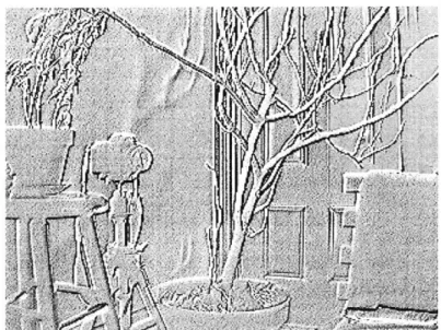 Figure  5-5:  Signed  edge  detection  with noise  reduction