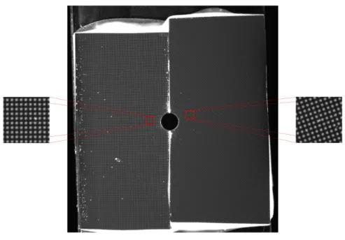 Figure 6: Real-case study. The two grids on a sample.