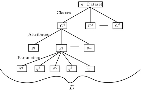 Figure 3: Dimensions of PROAFTN.