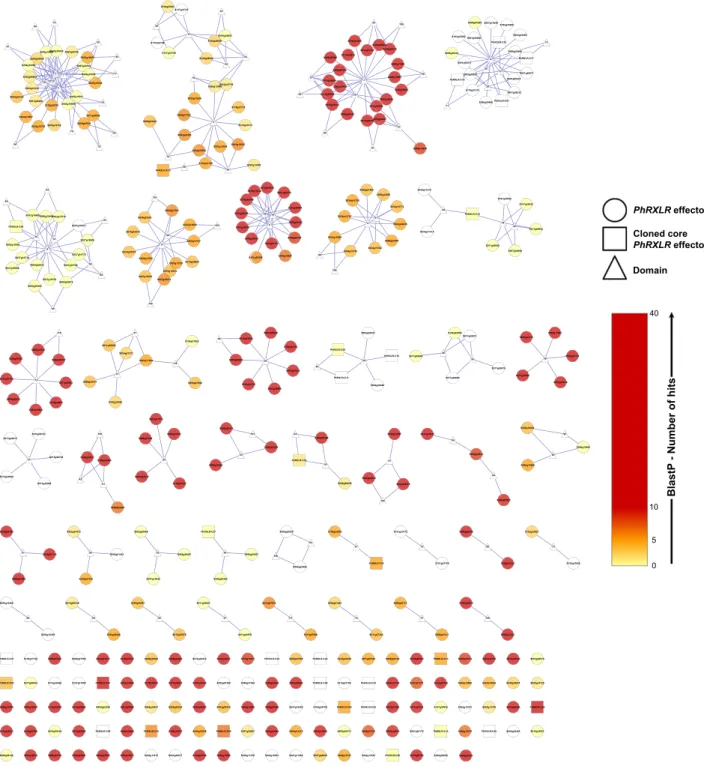 Figure 1. Plasmopara halstedii RXLR effector network based on conserved protein domains.The 354 RXLR effector proteins in silico predicted are indicated by circles or squares (30 ‘core’ selected RXLRs) and group into 40 connected components (CC) or cluster